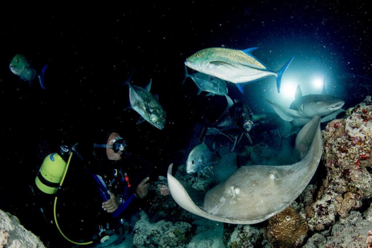 Hotel And Dive Center Roatan Yacht Club French Harbour 外观 照片