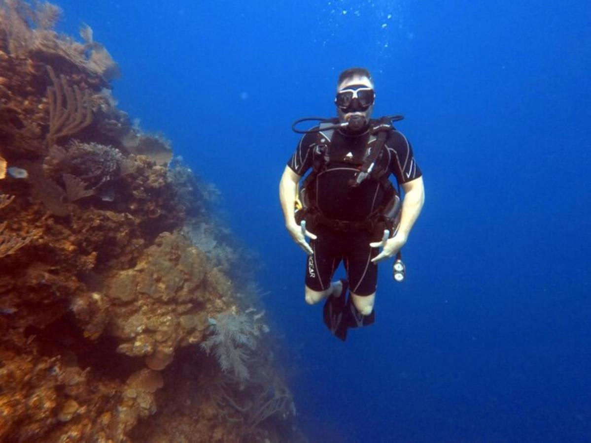 Hotel And Dive Center Roatan Yacht Club French Harbour 外观 照片